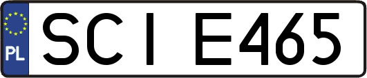 SCIE465