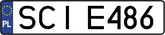 SCIE486