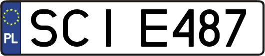 SCIE487
