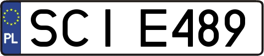 SCIE489