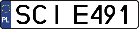 SCIE491