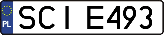 SCIE493