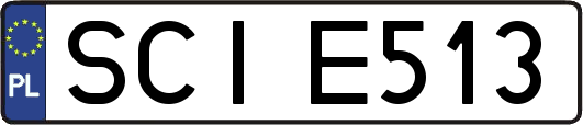 SCIE513