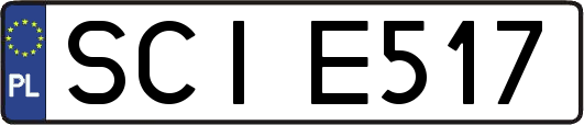 SCIE517