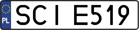 SCIE519