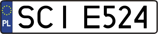 SCIE524