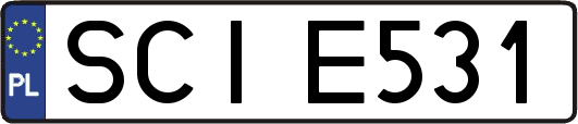SCIE531