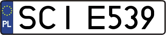 SCIE539