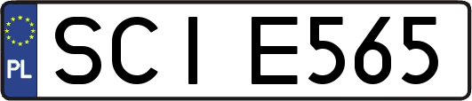 SCIE565