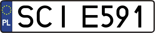 SCIE591