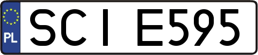 SCIE595