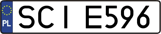 SCIE596