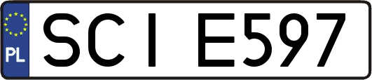 SCIE597