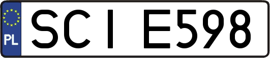 SCIE598