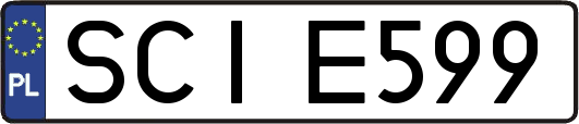 SCIE599