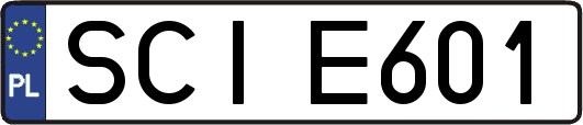 SCIE601