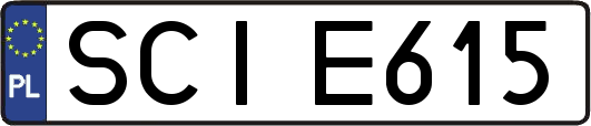SCIE615