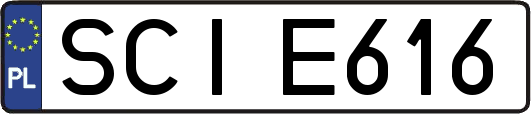 SCIE616