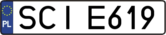 SCIE619