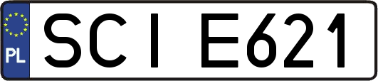 SCIE621
