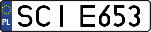 SCIE653