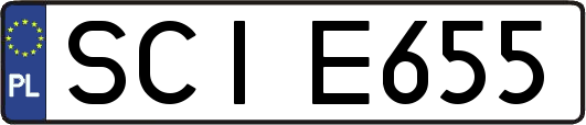SCIE655