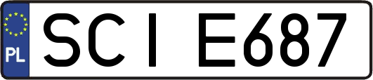 SCIE687