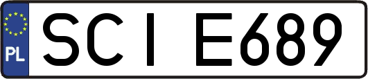 SCIE689