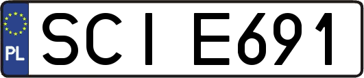 SCIE691