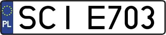 SCIE703
