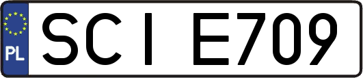 SCIE709
