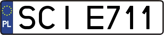 SCIE711