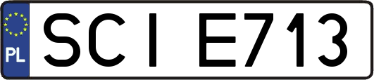 SCIE713