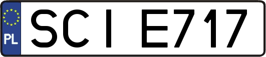 SCIE717