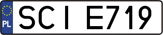 SCIE719