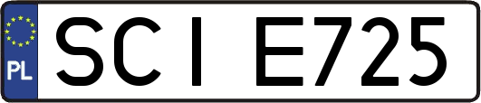 SCIE725