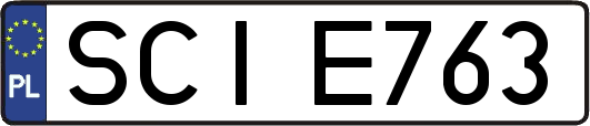 SCIE763