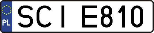 SCIE810
