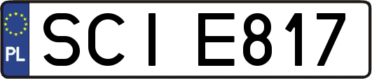SCIE817