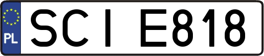 SCIE818