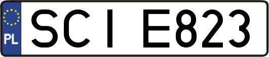 SCIE823