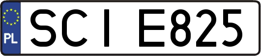 SCIE825