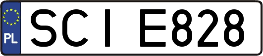 SCIE828
