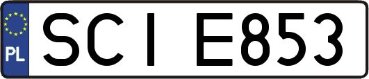 SCIE853