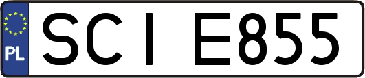 SCIE855