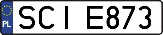 SCIE873
