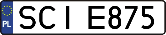 SCIE875