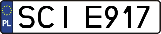 SCIE917