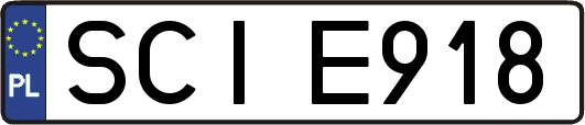 SCIE918