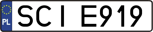 SCIE919